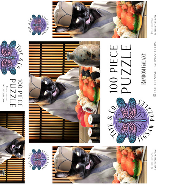 Black Cat Chef, Sushi Ramen - Random Galaxy 100 Jigsaw Puzzle box 3D Modell