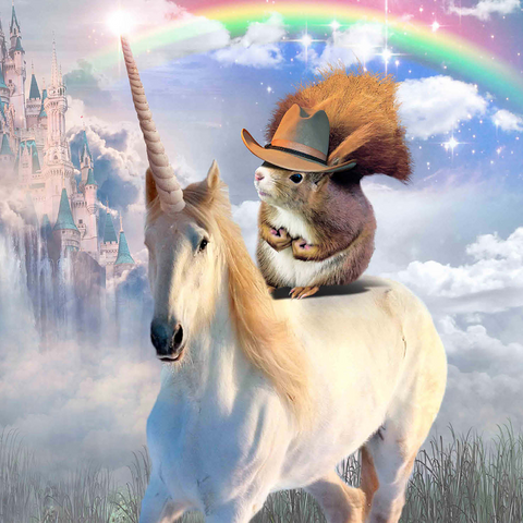 Squirrel Riding Unicorn - Random Galaxy 1000 Jigsaw Puzzle 3D Modell