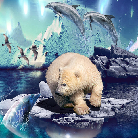Polar Bear and Dolphin, Northern Lights - Random Galaxy 1000 Jigsaw Puzzle 3D Modell