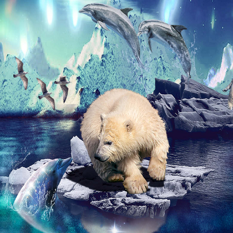 Polar Bear and Dolphin, Northern Lights - Random Galaxy 100 Jigsaw Puzzle 3D Modell