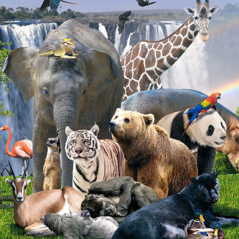 African Animals Waterfall - Random Galaxy 1000 Jigsaw Puzzle 3D Modell