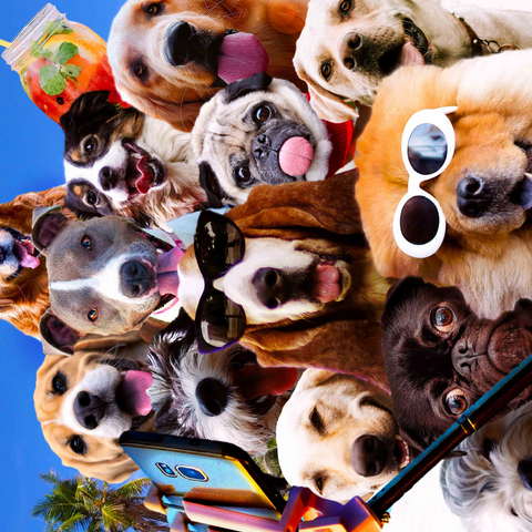 Dog Selfie, Pet Dogs - Random Galaxy 500 Jigsaw Puzzle 3D Modell