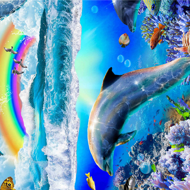 Rainbow Dolphin, Dolphins Beach - Random Galaxy 1000 Jigsaw Puzzle 3D Modell
