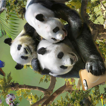 Panda Selfie, Pandas - Random Galaxy 1000 Jigsaw Puzzle 3D Modell