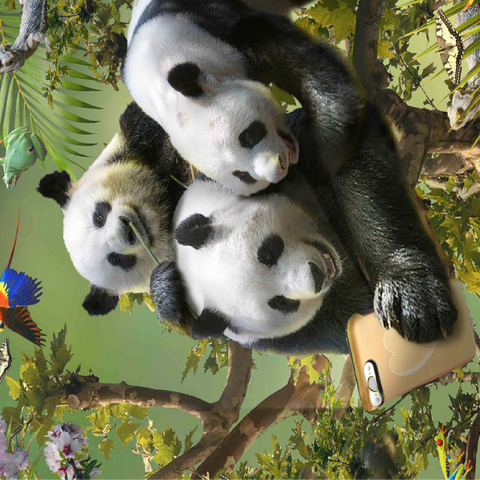 Panda Selfie, Pandas - Random Galaxy 100 Jigsaw Puzzle 3D Modell