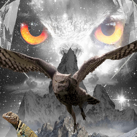Owl Eyes, Mountain Owls - Random Galaxy 100 Jigsaw Puzzle 3D Modell