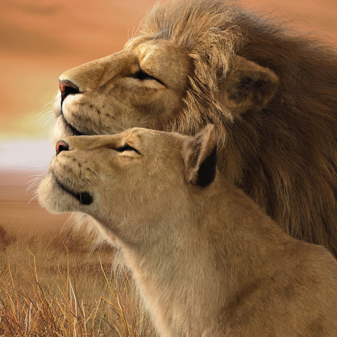 A Tender Moment Wildlife - Laurie Prindle 1000 Jigsaw Puzzle 3D Modell