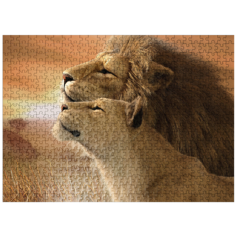 puzzleplate A Tender Moment Wildlife - Laurie Prindle 500 Jigsaw Puzzle