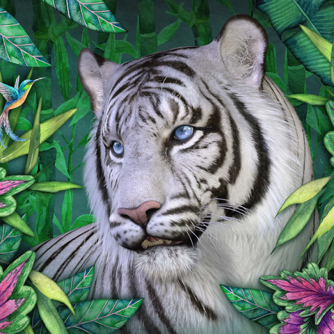 White Tiger Animal Wildlife - Laurie Prindle 500 Jigsaw Puzzle 3D Modell
