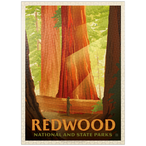 puzzleplate Redwood National And State Parks: Sun Beams 1000 Jigsaw Puzzle