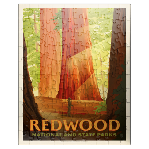 puzzleplate Redwood National And State Parks: Sun Beams 100 Jigsaw Puzzle