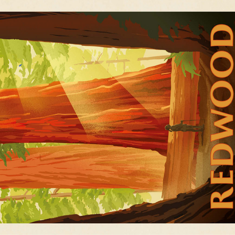 Redwood National And State Parks: Sun Beams 100 Jigsaw Puzzle 3D Modell