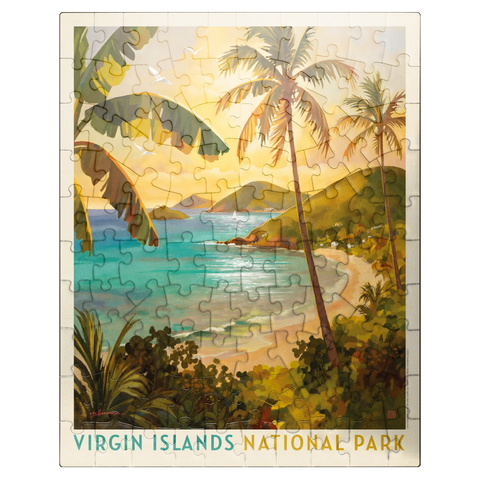 puzzleplate Virgin Islands National Park: Shimmering Shoreline 100 Jigsaw Puzzle