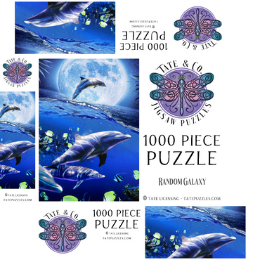 Moonlight Dolphin Gliding Through the Night Ocean - Random Galaxy 1000 Jigsaw Puzzle box 3D Modell
