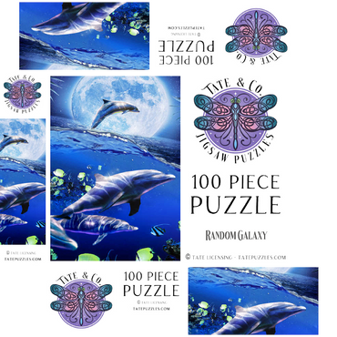 Moonlight Dolphin Gliding Through the Night Ocean - Random Galaxy 100 Jigsaw Puzzle box 3D Modell
