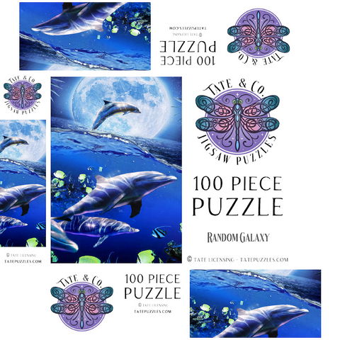 Moonlight Dolphin Gliding Through the Night Ocean - Random Galaxy 100 Jigsaw Puzzle box 3D Modell
