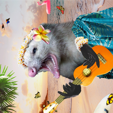Aloha Opossum Enjoying Hawaiian Vibes - Random Galaxy 1000 Jigsaw Puzzle 3D Modell