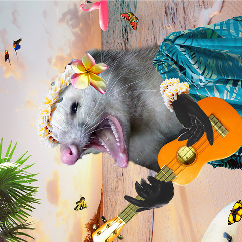 Aloha Opossum Enjoying Hawaiian Vibes - Random Galaxy 1000 Jigsaw Puzzle 3D Modell