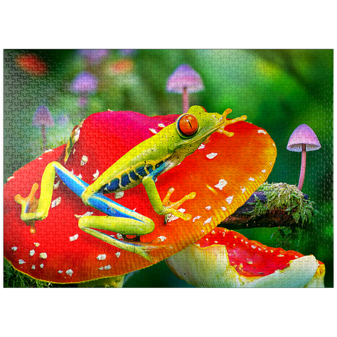 puzzleplate Red-Eyed Tree Frog in a Magical Mushroom Forest - Random Galaxy 1000 Jigsaw Puzzle