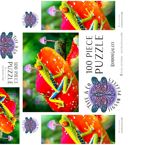 Red-Eyed Tree Frog in a Magical Mushroom Forest - Random Galaxy 100 Jigsaw Puzzle box 3D Modell