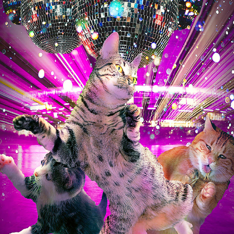Disco Dancing Cat in 70s Retro - Random Galaxy 100 Jigsaw Puzzle 3D Modell