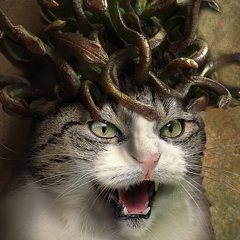 Meowdusa Vintage Medusa Cat - Random Galaxy 1000 Jigsaw Puzzle 3D Modell