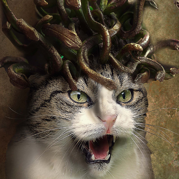 Meowdusa Vintage Medusa Cat - Random Galaxy 100 Jigsaw Puzzle 3D Modell