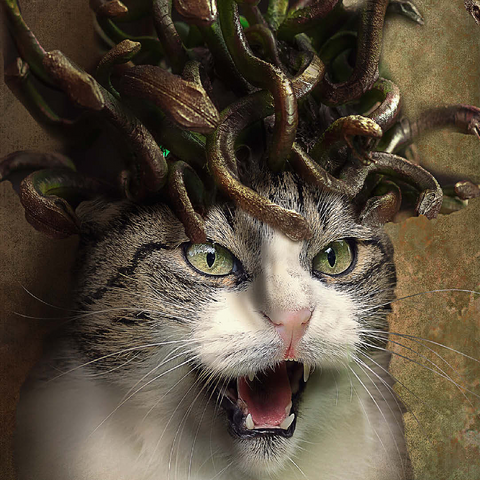 Meowdusa Vintage Medusa Cat - Random Galaxy 100 Jigsaw Puzzle 3D Modell