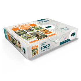 1000