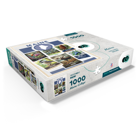 1000