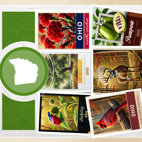 Collage: Ohio State Symbols 500 Jigsaw Puzzle 3D Modell