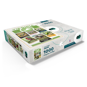 1000