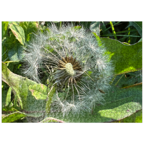 puzzleplate Summer Dandelion 500 Jigsaw Puzzle