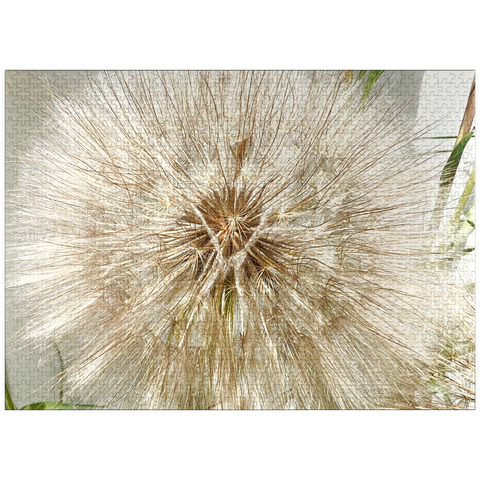 puzzleplate Dandelion Poof 1000 Jigsaw Puzzle