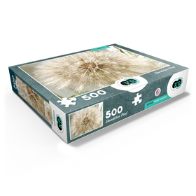 500