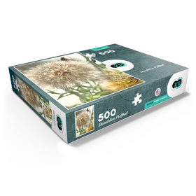 500