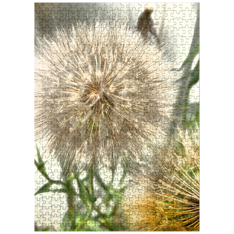 puzzleplate Dandelion Puffball 500 Jigsaw Puzzle