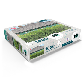 1000