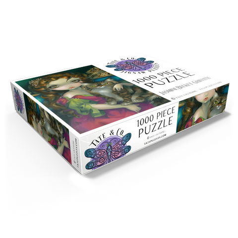 Princess with a Maine Coon Cat - Jasmine Becket-Griffith 1000 Jigsaw Puzzle box view1