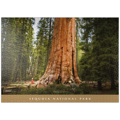 puzzleplate Sequoia National Park: General Sherman 1000 Jigsaw Puzzle
