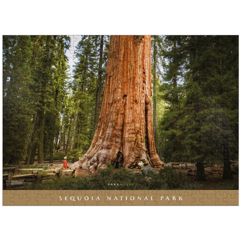 puzzleplate Sequoia National Park: General Sherman 300 Jigsaw Puzzle