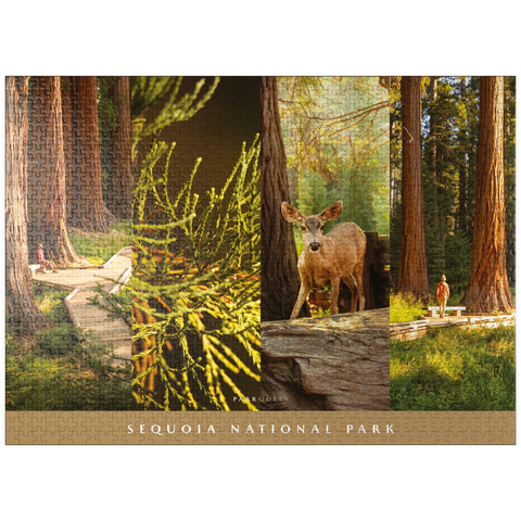 puzzleplate Sights of Sequoia National Park 1000 Jigsaw Puzzle