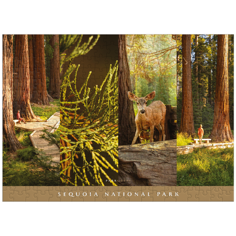 puzzleplate Sights of Sequoia National Park 300 Jigsaw Puzzle