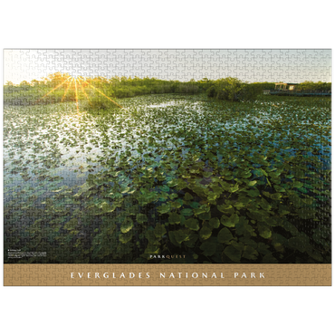 puzzleplate Everglades National Park: Anhinga Trail 1000 Jigsaw Puzzle