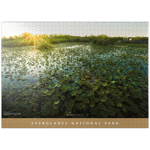 puzzleplate Everglades National Park: Anhinga Trail 1000 Jigsaw Puzzle