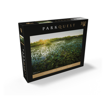 Everglades National Park: Anhinga Trail 300 Jigsaw Puzzle box view2