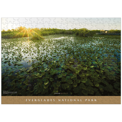 puzzleplate Everglades National Park: Anhinga Trail 300 Jigsaw Puzzle