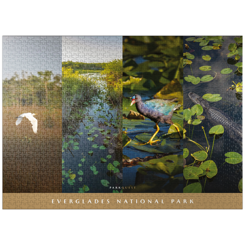 puzzleplate Sights of Everglades National Park 1000 Jigsaw Puzzle