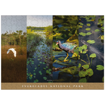 puzzleplate Sights of Everglades National Park 300 Jigsaw Puzzle