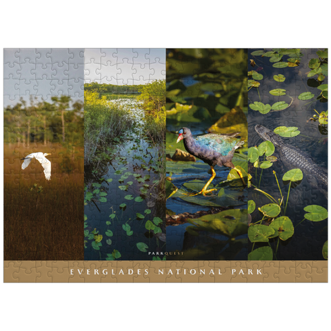 puzzleplate Sights of Everglades National Park 300 Jigsaw Puzzle